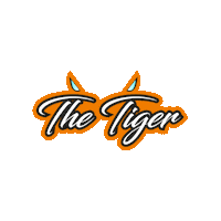 fiawtcr logo car racing cars Sticker