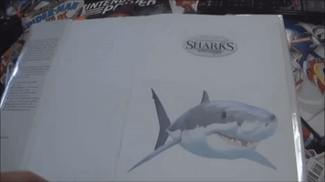 Entertainer Imagines the Hilarious Thoughts of Sharks