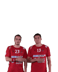 Wilhelmshaven Whv Sticker by whvhandball