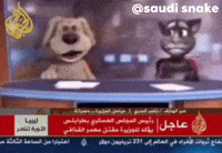 Tom Ben GIF