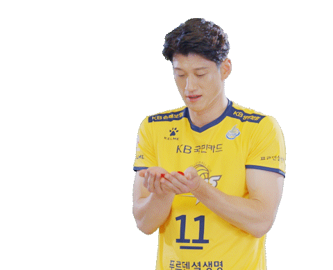 Kb스타즈 Sticker by KB STARS VOLLEYBALL CLUB