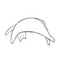 purrlines cat lazy stretch stretching Sticker