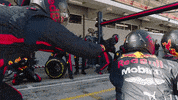 Ver Red Bull GIF by Red Bull Racing Honda