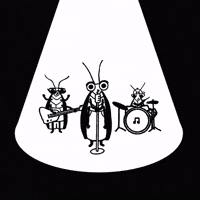 mag1flo music wow cool good GIF