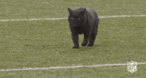 Regular Season Football GIF by NFL