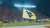 West Virginia Sport GIF by WVU Sports