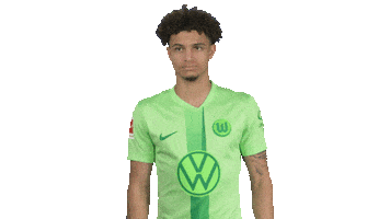 Football Love Sticker by VfL Wolfsburg