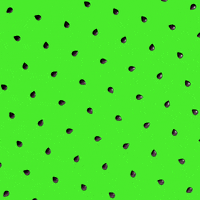 Fruit Kiwi GIF by Feliks Tomasz Konczakowski