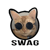 IXSERA cat cats swag bolts Sticker