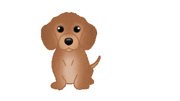 Sausage Dog Dachshund Sticker by zoopeez