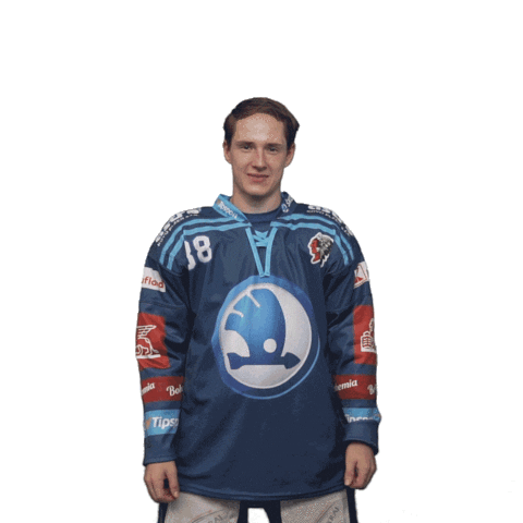Hockey Thumbs Up Sticker by HC Škoda Plzeň