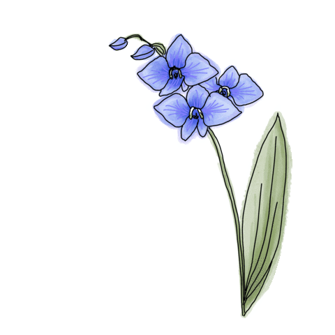 Flower Sticker by Increase Creativity