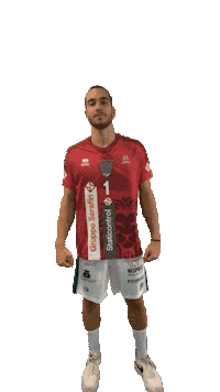 Volley Leoni Sticker by Pallavolo_motta