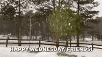Wednesday Snowfall