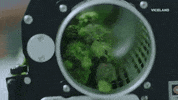GIF by WEEDIQUETTE