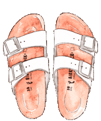 Shoes Love Sticker by BIRKENSTOCK