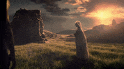 Dave Meyers GIF by P!NK