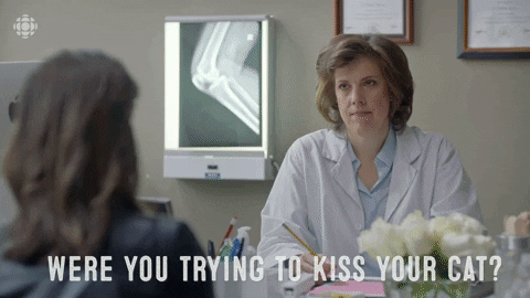 Season 4 Cbc GIF