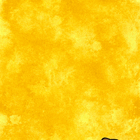 Voting January 6 GIF by INTO ACTION