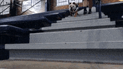 Happy On My Way GIF by Butler University