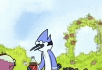 show epic regular show regular regularshow GIF