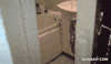 cat pulling GIF