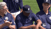 Major League Baseball Reaction GIF by Detroit Tigers