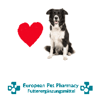 Border Co Sticker by Europeanpetpharmacy