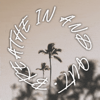 M-a-ex summer nature black and white vibes GIF