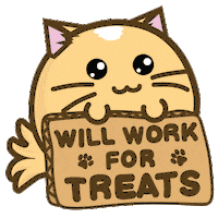 Big Eyes Cat Sticker by Fuzzballs