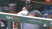 major league baseball sport GIF by MLB