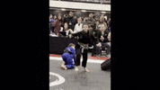 Grapple Lets Go GIF
