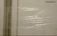 april fools prank GIF