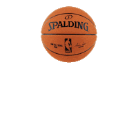 Spalding_Brasil bola basquete oba spalding Sticker