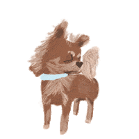 dogs chihuahua Sticker by Nelly Castro