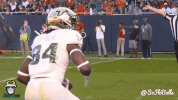 Usf Football GIF by SoFloBulls