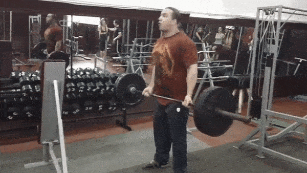 bodybuilding-and-fitness giphyupload chiting GIF