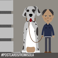 postcardsfromisola dog big dog dog trainer postcardsfromisola GIF
