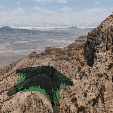 limitlessflight giphyupload GIF