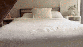 Waterproof Dog Blanket