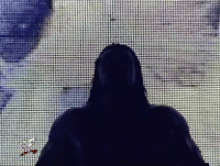 triple h wrestling GIF by WWE