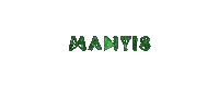 MantisDubai mantis boujee lavish mantisdubai Sticker