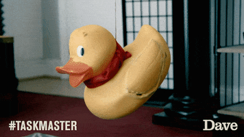 lou sanders comedy GIF by UKTV
