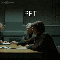pet vera GIF by britbox