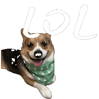 Fun Laugh Sticker