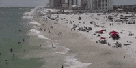 ncaabeachvb golfshores GIF by NCAA Championships