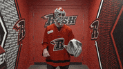 Bud Light Celebration GIF by Rapid City Rush