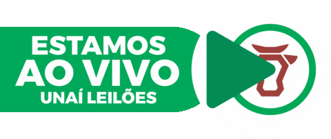 unaileiloes giphyupload leilao unai unaileiloes Sticker