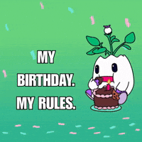 Happy Birthday Party GIF by Magic Eden