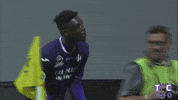 happy ligue 1 GIF by Toulouse Football Club